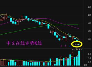 中文在線300364限售股解禁 能否助公司走出低谷，重振互聯網文化活動？